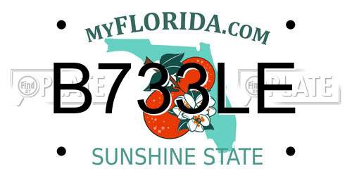 B733LE Florida License Plate