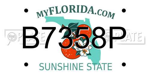 B7358P Florida License Plate