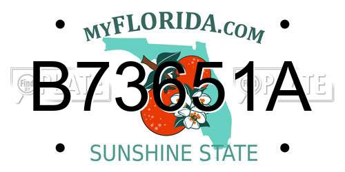 B73651A Florida License Plate