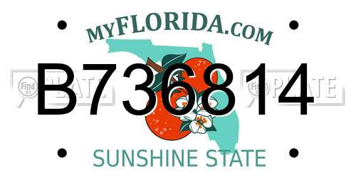 B736814 Florida License Plate