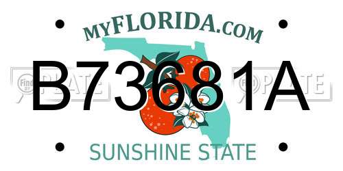 B73681A Florida License Plate