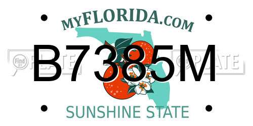 B7385M Florida License Plate