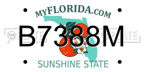 B7388M Florida License Plate