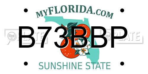 B73BBP Florida License Plate