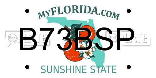 B73BSP Florida License Plate