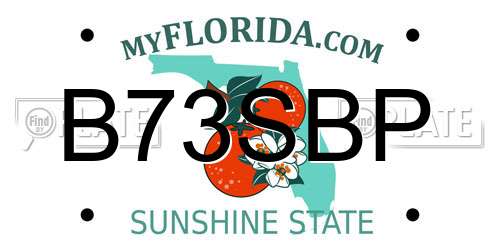 B73SBP Florida License Plate