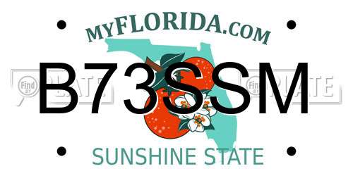 B73SSM Florida License Plate