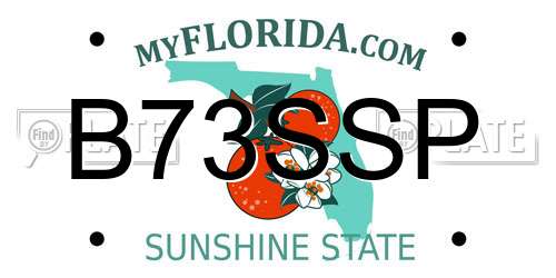 B73SSP Florida License Plate