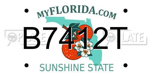 B7412T Florida License Plate