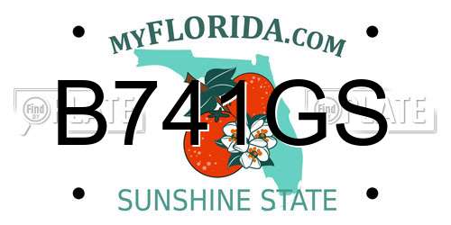 B741GS Florida License Plate