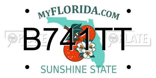 B741TT Florida License Plate