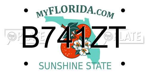 B741ZT Florida License Plate