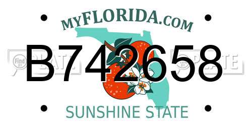 B742658 Florida License Plate