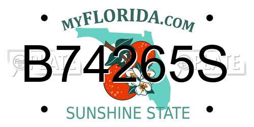 B74265S Florida License Plate