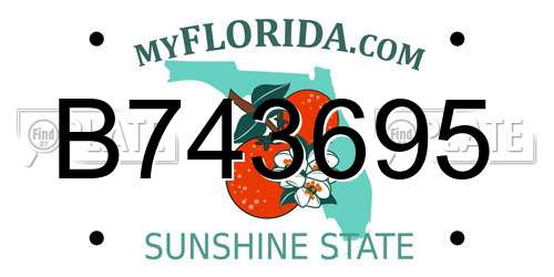 B743695 Florida License Plate