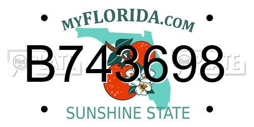 B743698 Florida License Plate