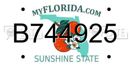 B744925 Florida License Plate