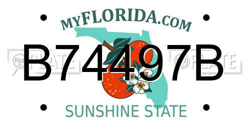 B74497B Florida License Plate