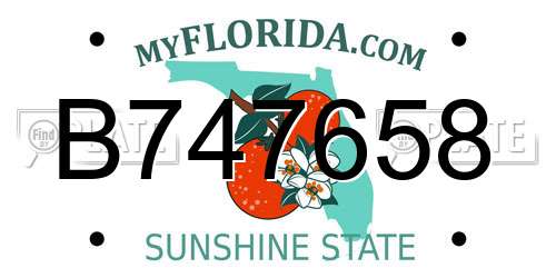 B747658 Florida License Plate