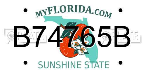 B74765B Florida License Plate