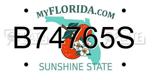 B74765S Florida License Plate