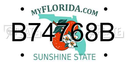 B74768B Florida License Plate