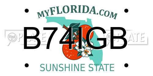 B74IGB Florida License Plate