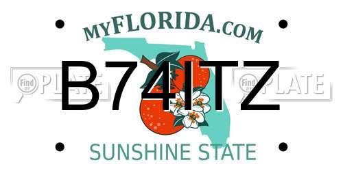 B74ITZ Florida License Plate
