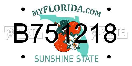 B751218 Florida License Plate