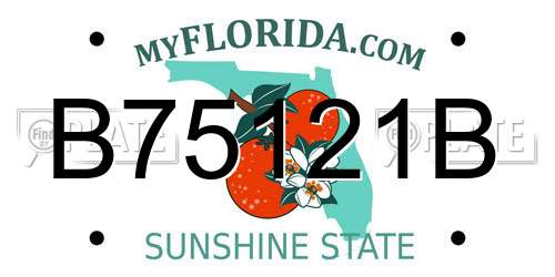 B75121B Florida License Plate
