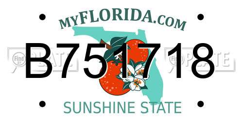 B751718 Florida License Plate
