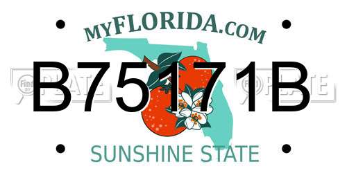 B75171B Florida License Plate