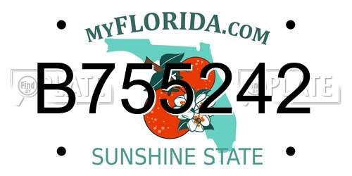 B755242 Florida License Plate