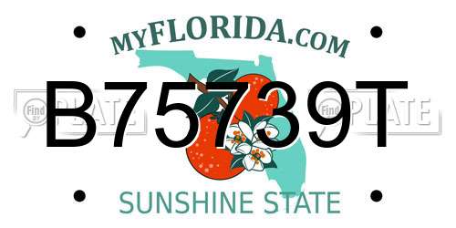 B75739T Florida License Plate