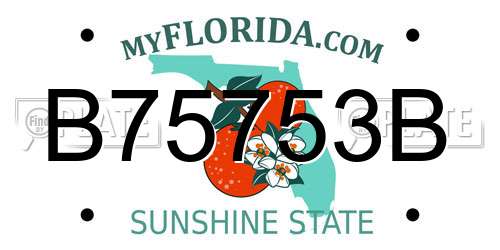 B75753B Florida License Plate
