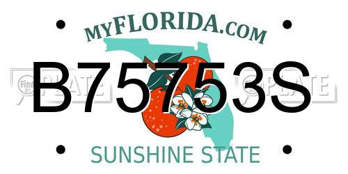 B75753S Florida License Plate