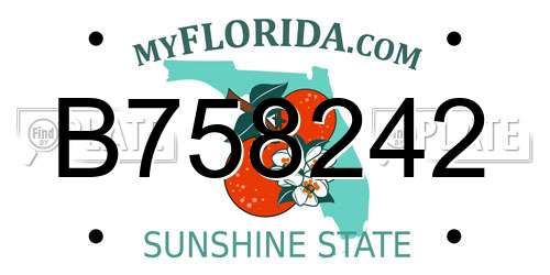 B758242 Florida License Plate