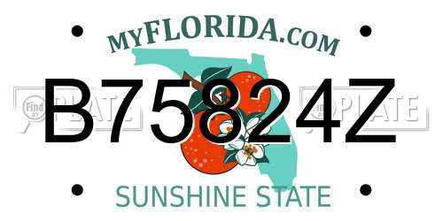B75824Z Florida License Plate
