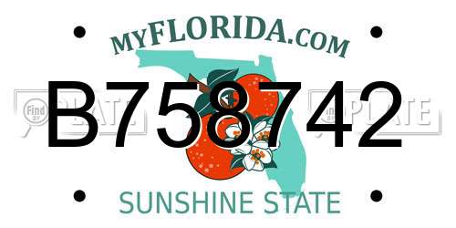 B758742 Florida License Plate