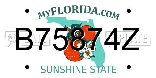 B75874Z Florida License Plate