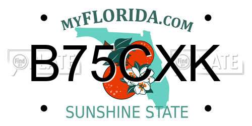 B75CXK Florida License Plate