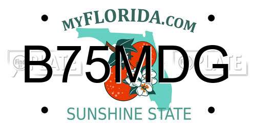 B75MDG Florida License Plate