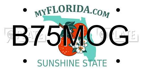 B75MOG Florida License Plate
