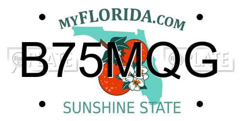 B75MQG Florida License Plate
