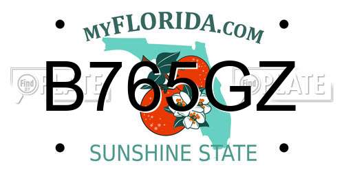 B765GZ Florida License Plate