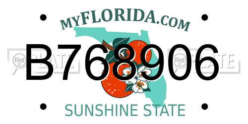 B768906 Florida License Plate
