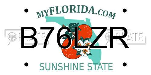 B76LZR Florida License Plate