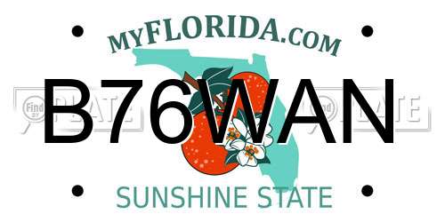 B76WAN Florida License Plate