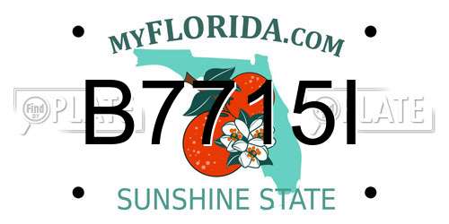 B7715I Florida License Plate