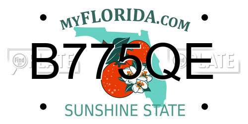 B775QE Florida License Plate